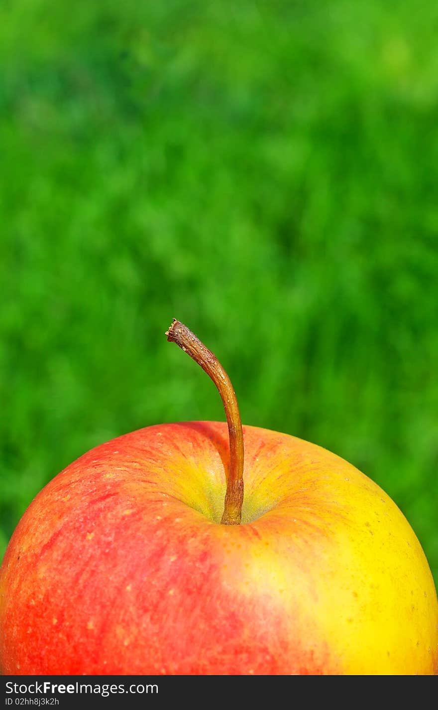 Fresh red apple on green background