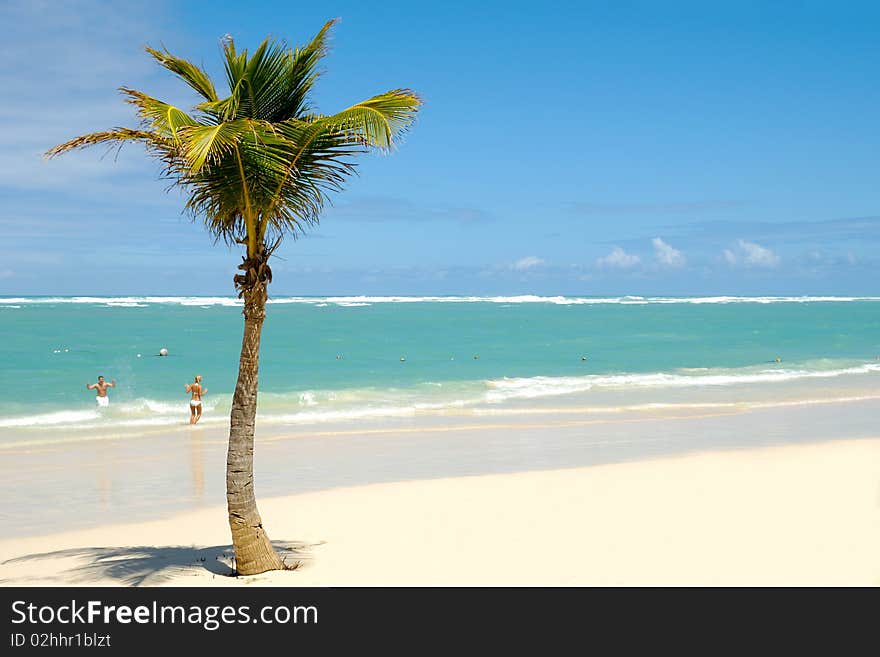 Palm on exotic caribbean beach with the coast in the background. In the water a man and a woman is going to swim. Palm on exotic caribbean beach with the coast in the background. In the water a man and a woman is going to swim.