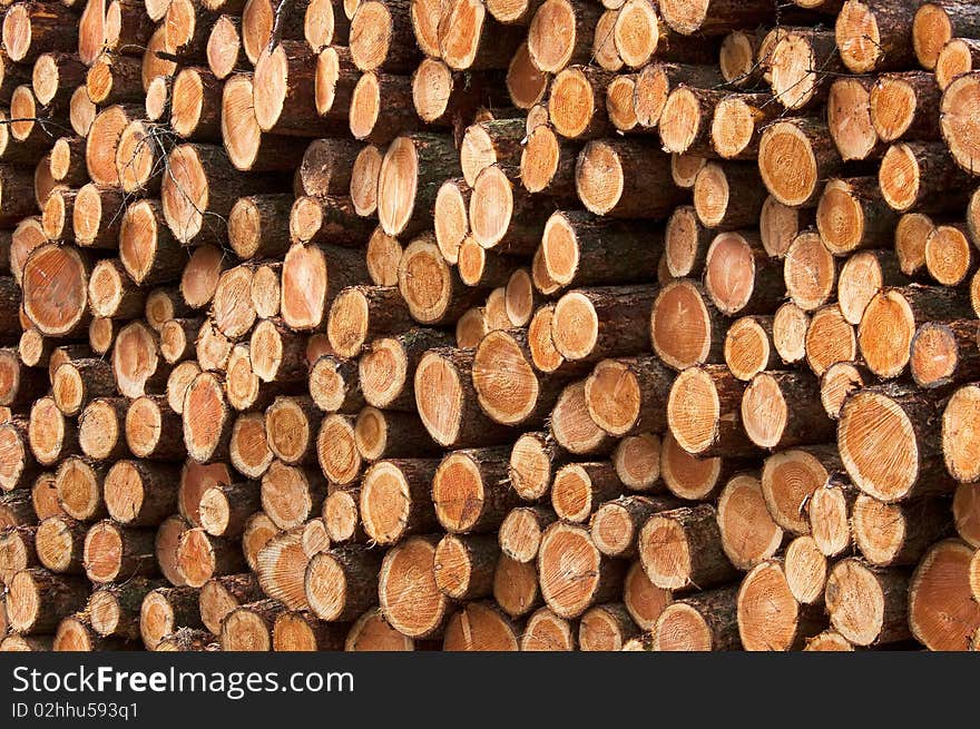 Wood Piles