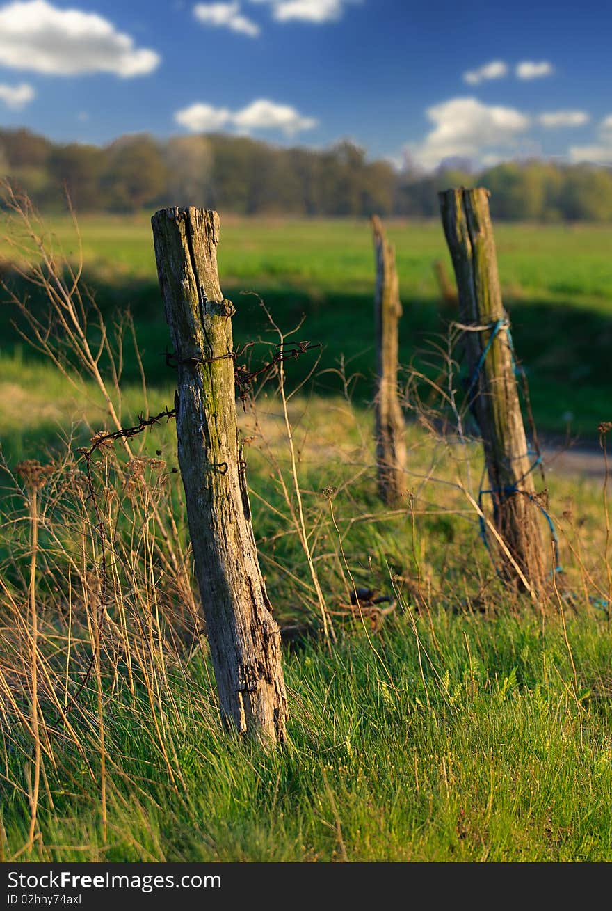 Landscape With A Fence