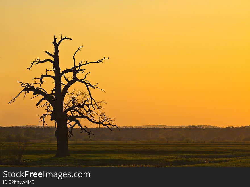 Sunset Landscape