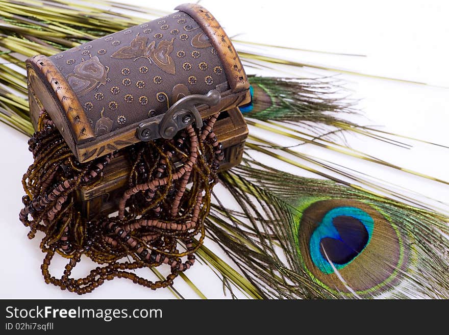 Chest - jewellery, peacock feather