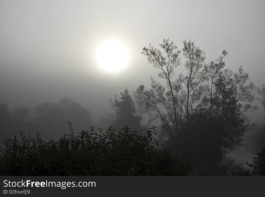 Sunrise on a misty morning