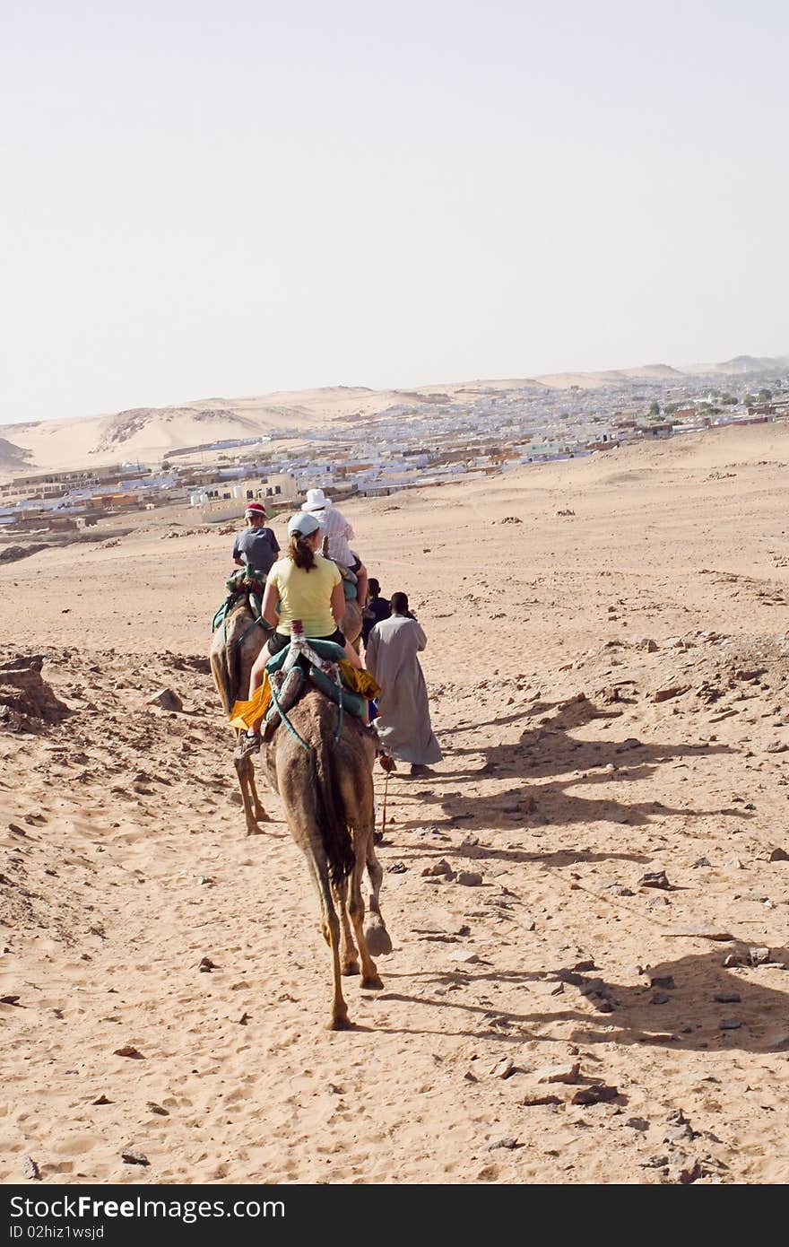 Europeon family riding camels in a convoy. Europeon family riding camels in a convoy