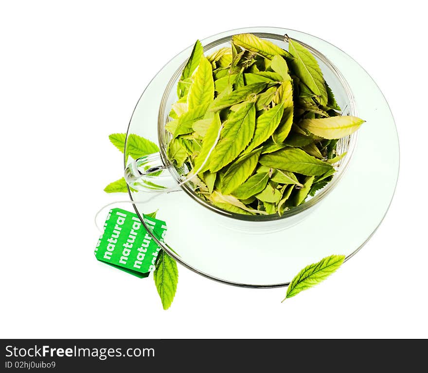 Leaves in cup on white.