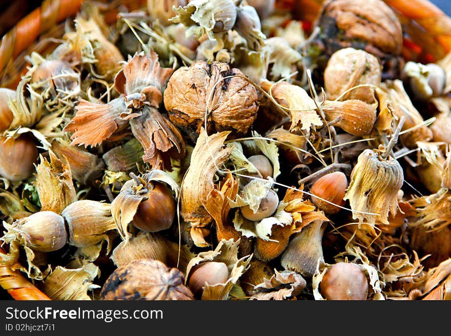 Fresh fruit with hard shell in autumn season. Fresh fruit with hard shell in autumn season