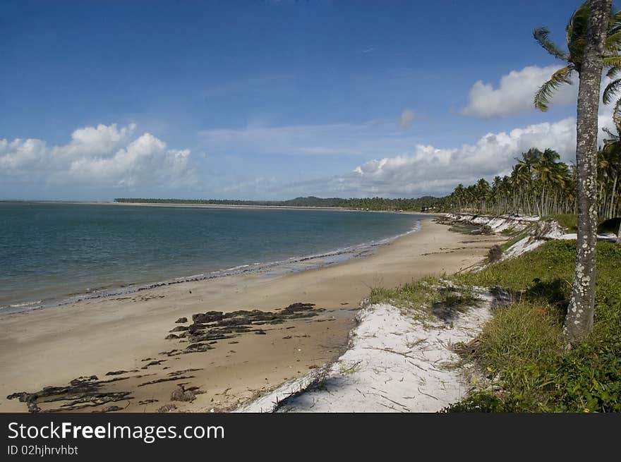 Beach Paradise