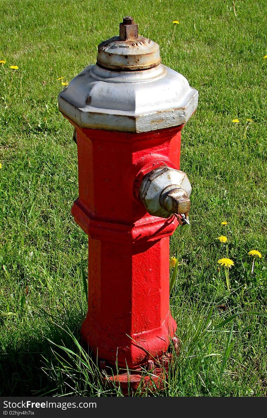 Vertical Bright red fire hydrant on grass