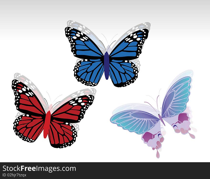 Butterflies  design