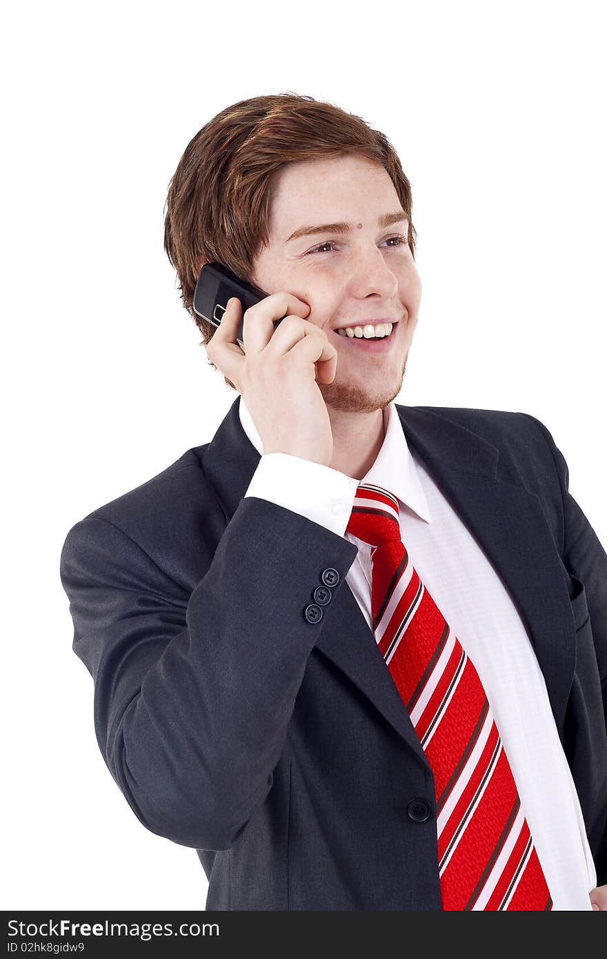 Businessman On The Phone