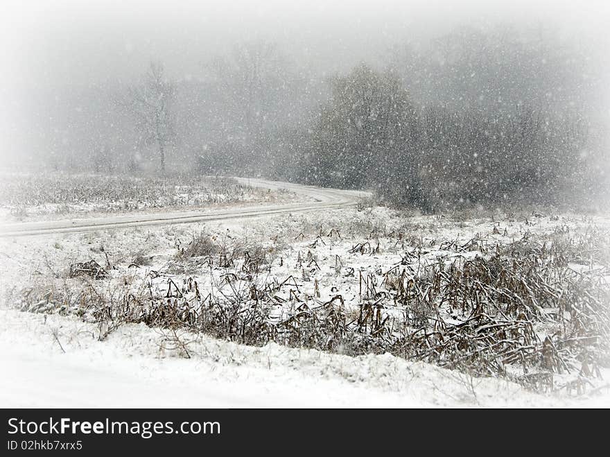 Winter with it's first snow over a field. Winter with it's first snow over a field