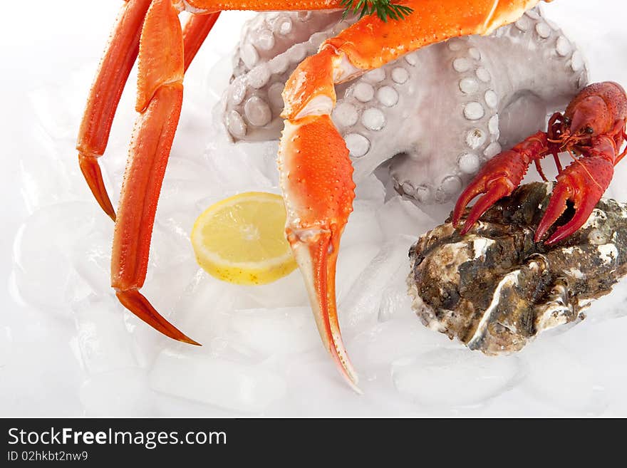 Seafood served on ice, marine food for gourmets