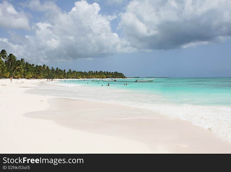 Saona beach in dominicam republic