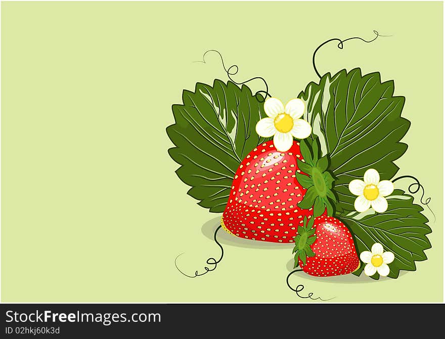 Strawberry bush with ripe berries and flowers. Strawberry bush with ripe berries and flowers