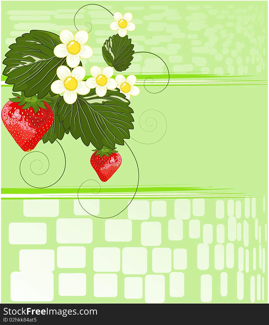 Strawberry bush with ripe berries and flowers. Strawberry bush with ripe berries and flowers