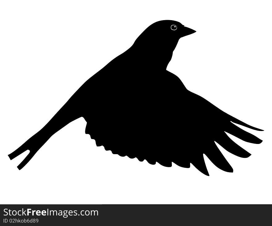 Vector black silhouette of chaffinch