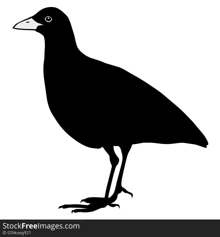 Vector black silhouette of corncrake