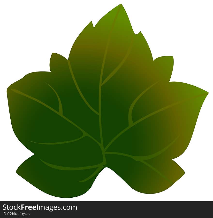 Green leaf