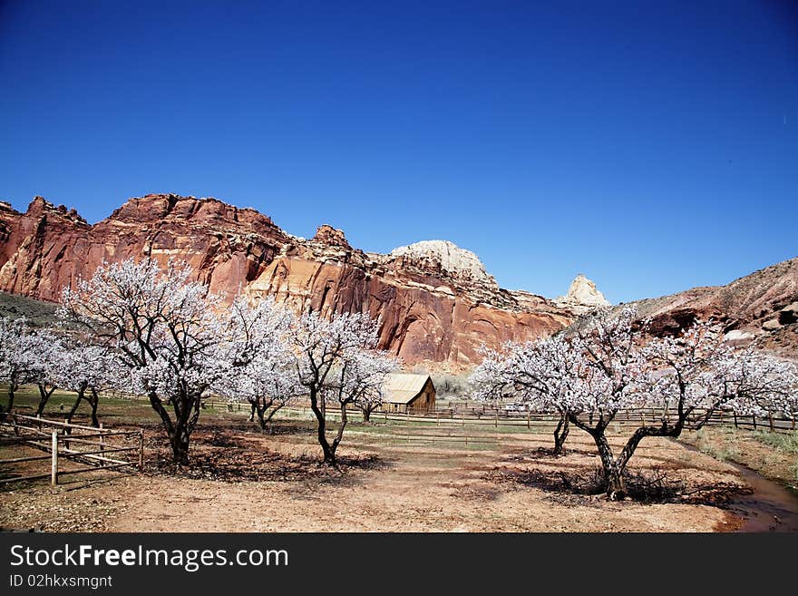 Capitol Reef National Park