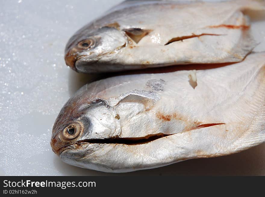 Two fish with white background