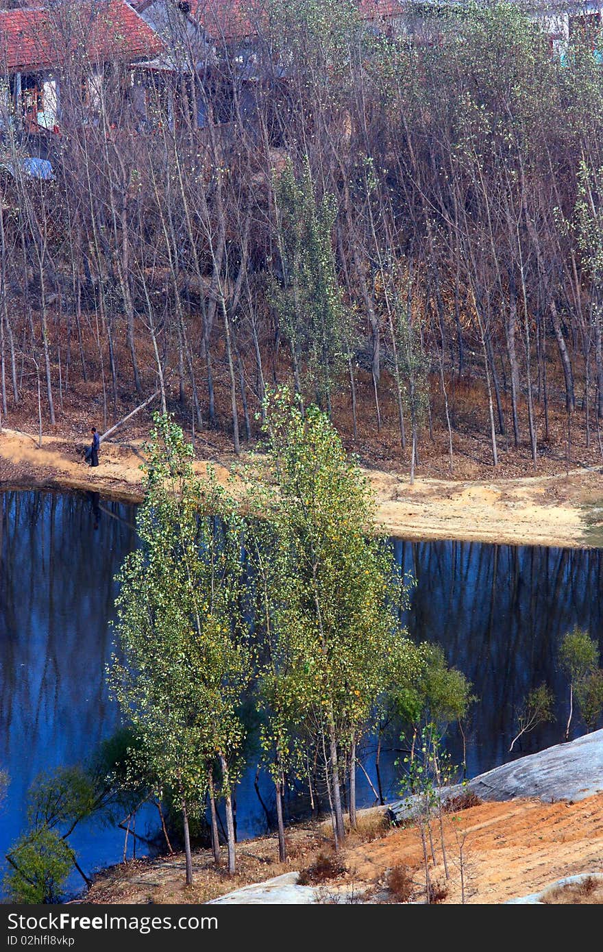 Lakeside Woods, under the afternoon sunset.