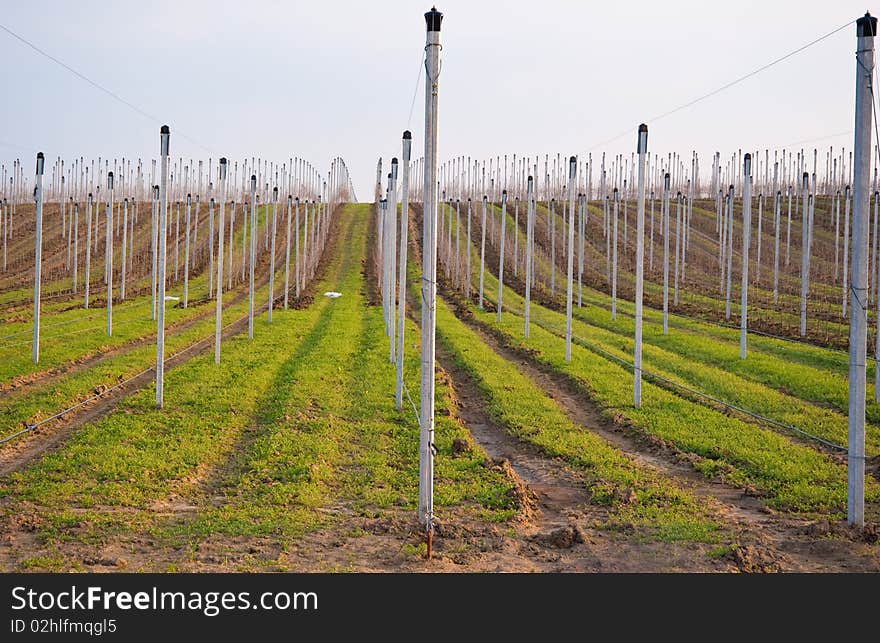 Part of the field with irrigation system on the outskirts of national park of Fruska Gora, Serbia. Part of the field with irrigation system on the outskirts of national park of Fruska Gora, Serbia