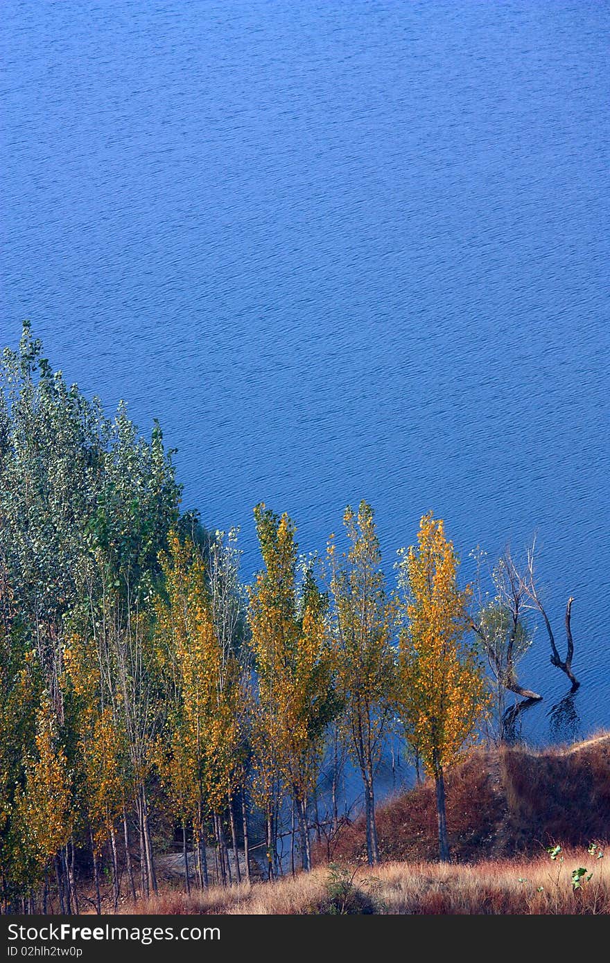 Lake and fall woods