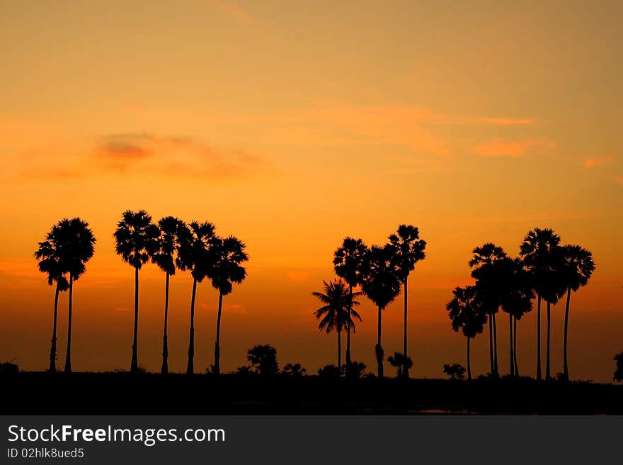 The yellow sky line and palm tree shadow,Cha-am beach Thailand