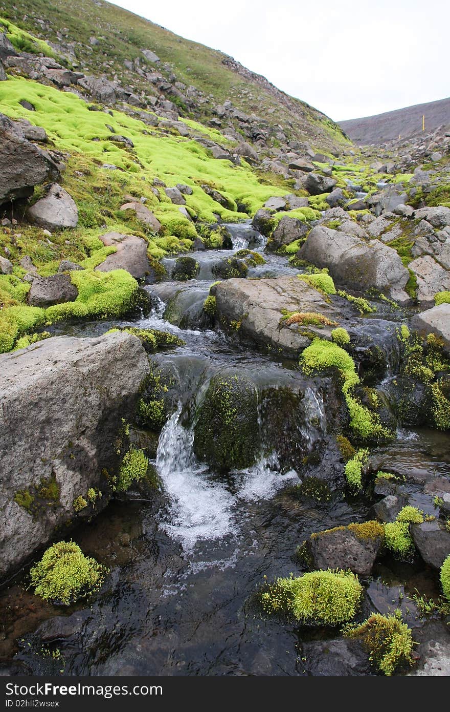 A small stream thru the tundra