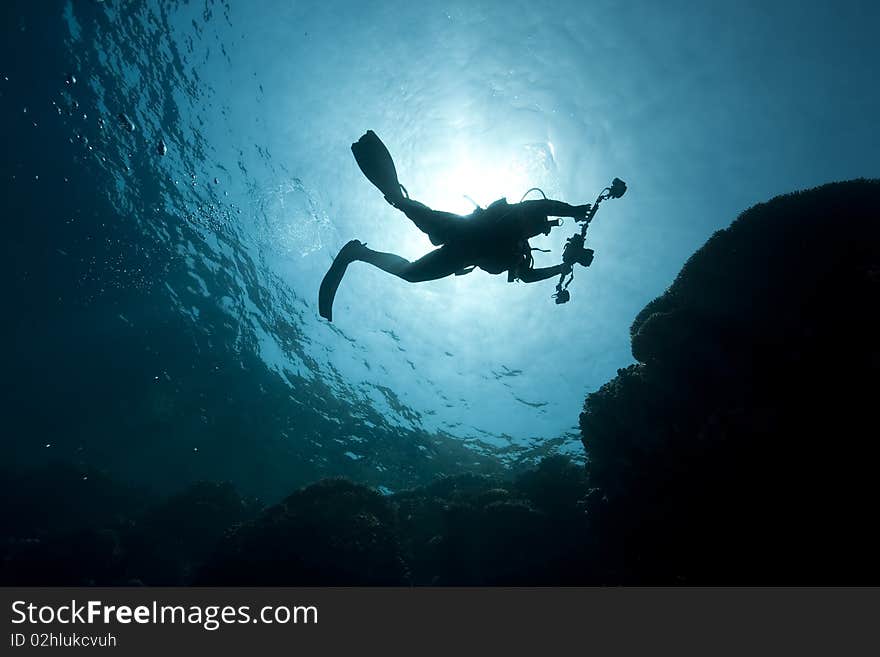 Silhouette of an underwater photographer taken in the Red Sea.