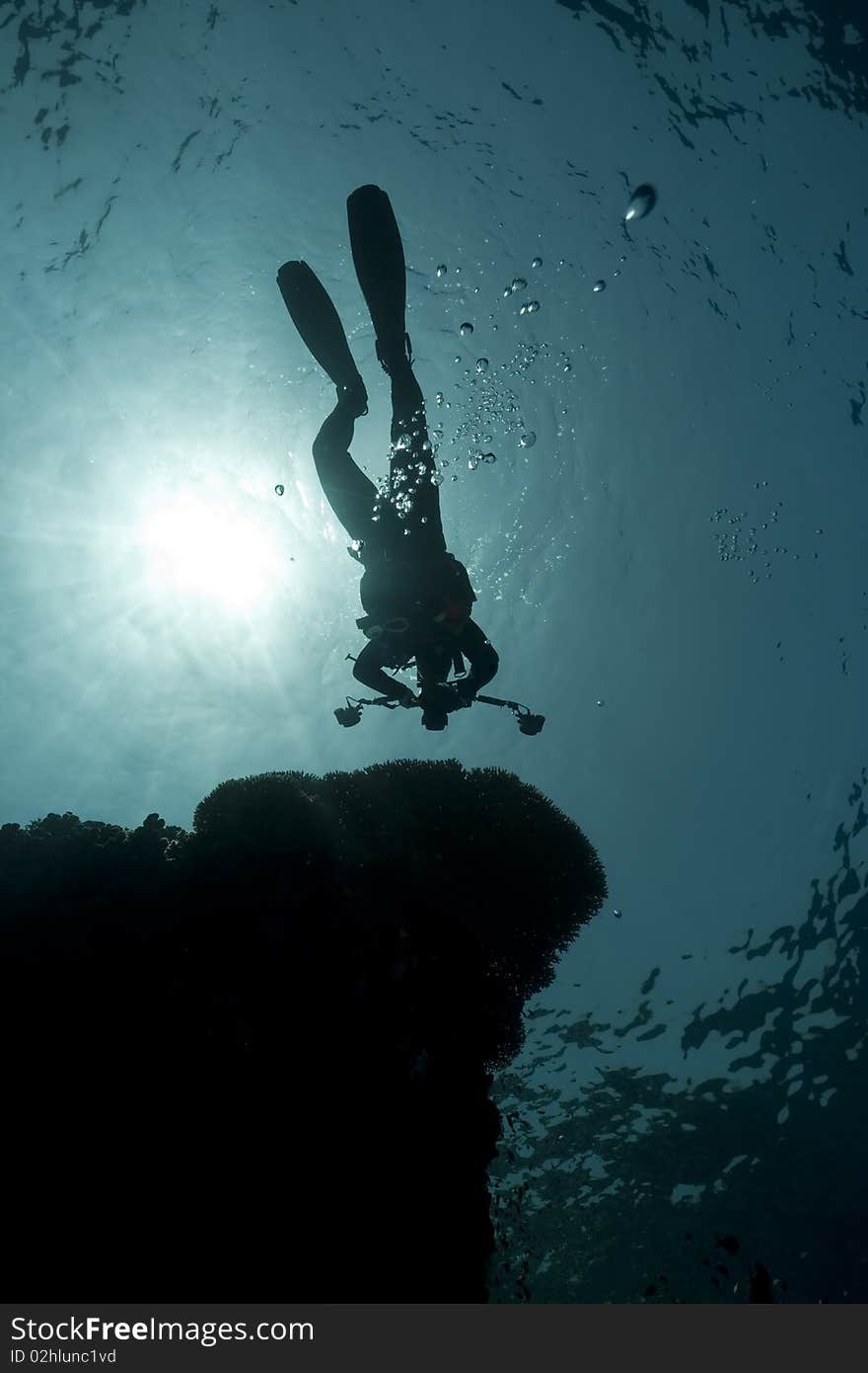 Silhouette of an underwater photographer taken in the Red Sea.