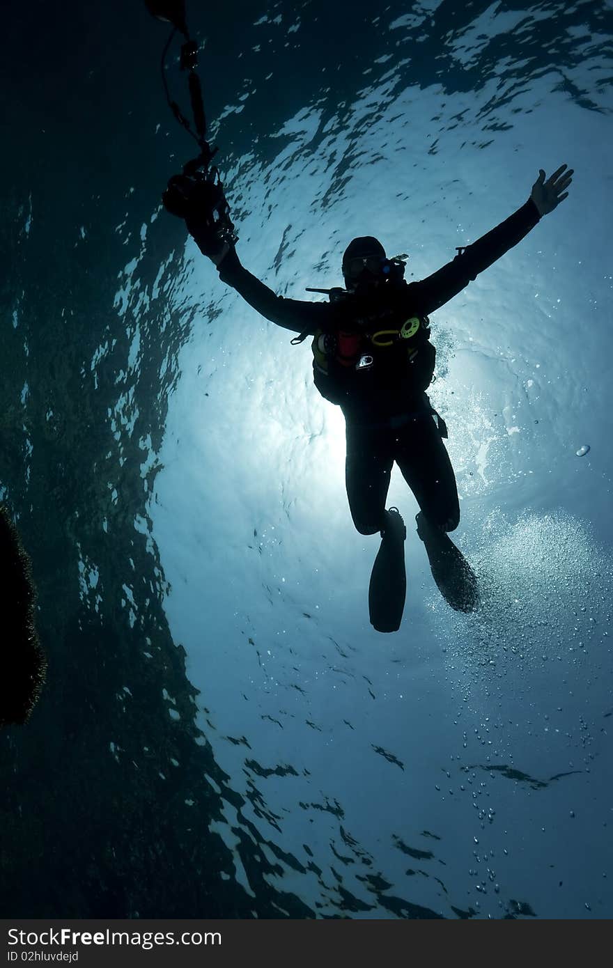 Silhouette of an underwater photographer taken in the Red Sea.