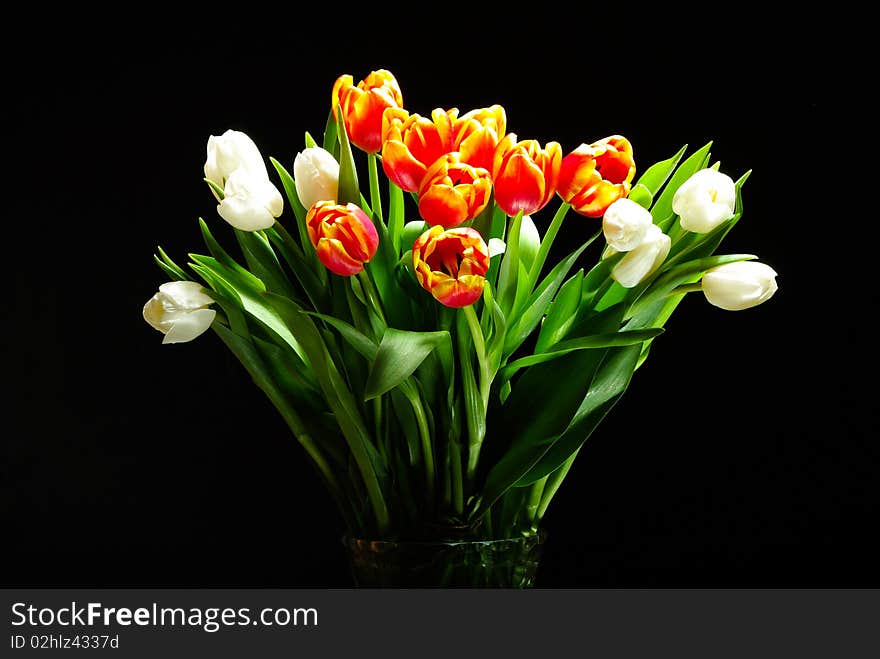 White and red flowers in vase