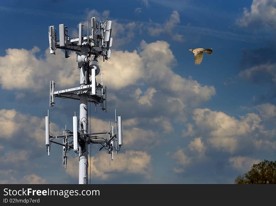 A robin flying toward a comunications tower. A robin flying toward a comunications tower.