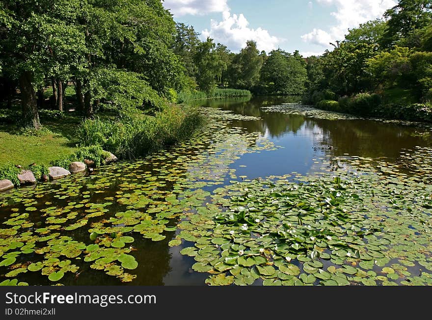 Lilly Pad River Landscape Copenhagen Denmark. Lilly Pad River Landscape Copenhagen Denmark