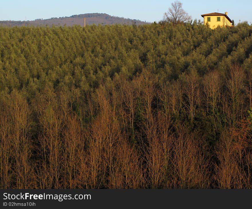 Yellow house on top of the hill. Yellow house on top of the hill