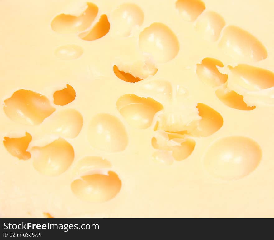 Swiss cheese in close up