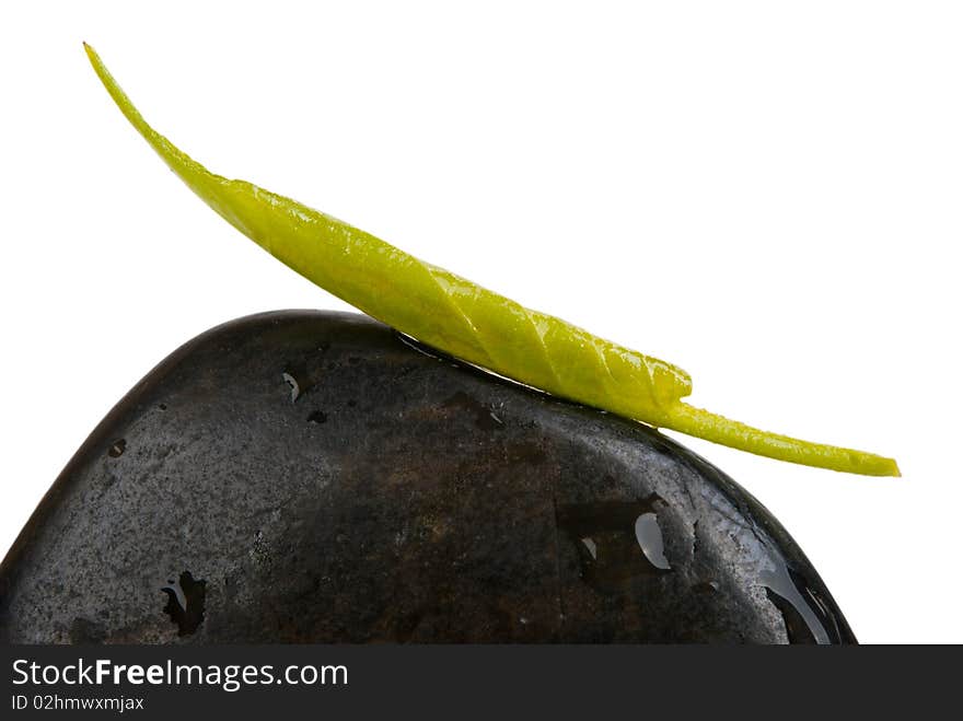 Braided sheet of tree on dark stone isolated in white