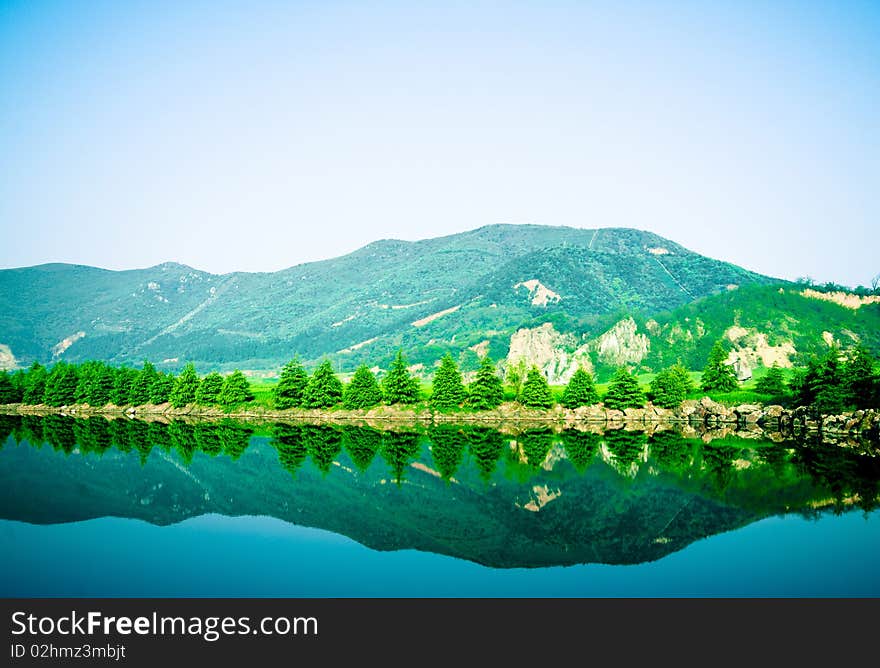 The beautiful lakeside with the pine trees