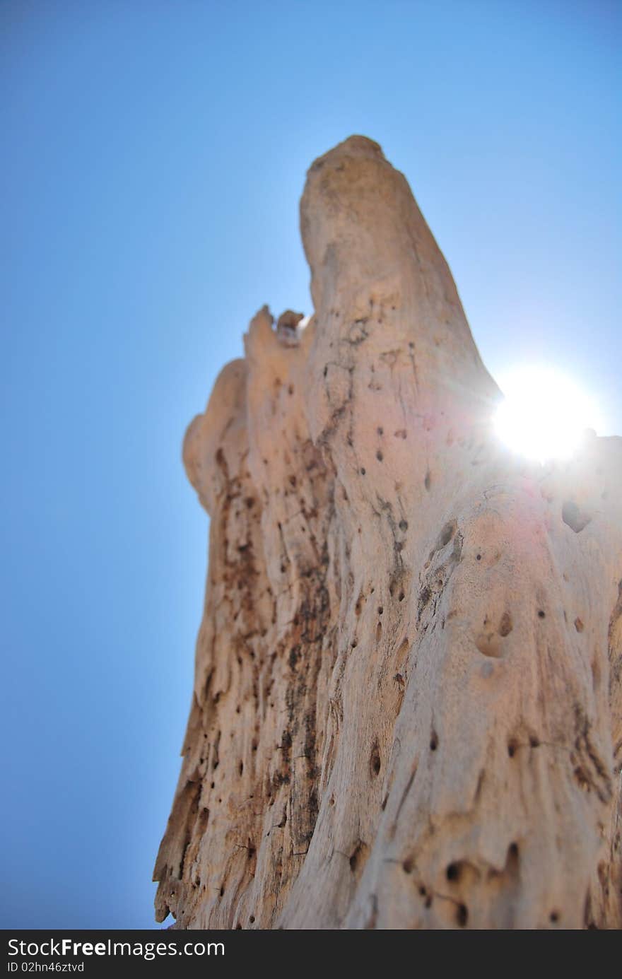 A glimpse of the sun at the back of a dead tree trunk under a clear cloudless blue sky