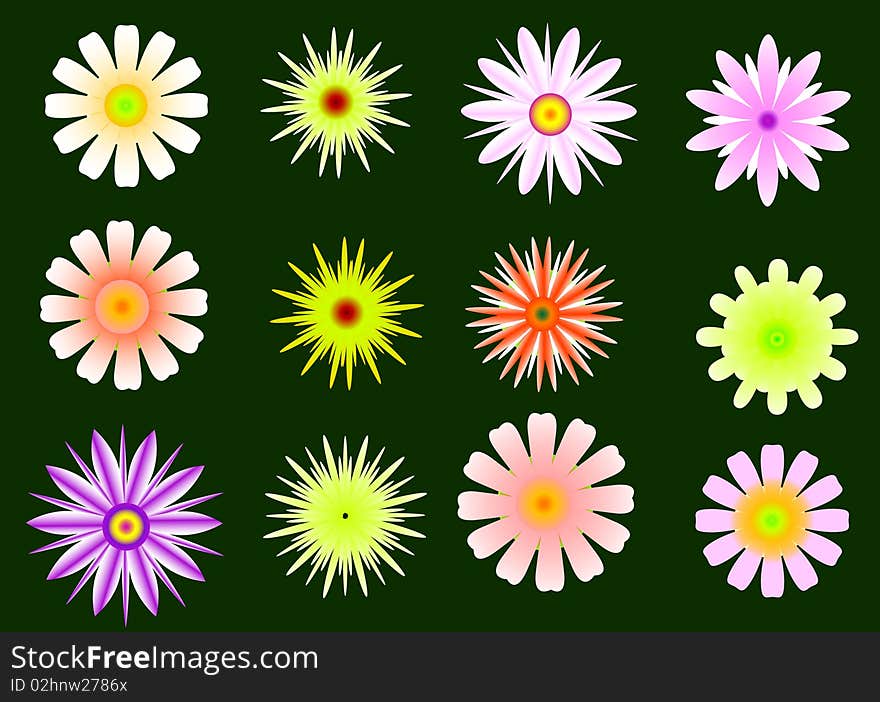 Illustration with bright color flower collection. Illustration with bright color flower collection