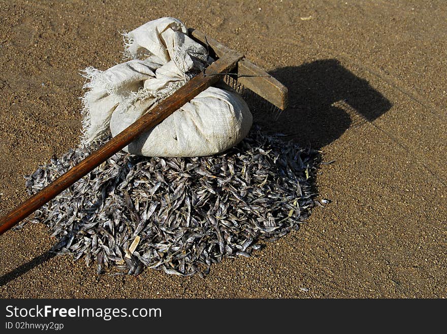 Fishmonger at the market in Africa