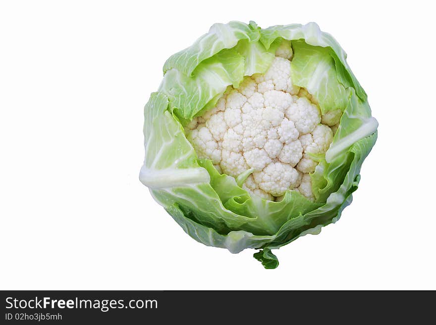 Fresh young cauliflower head with green leaves