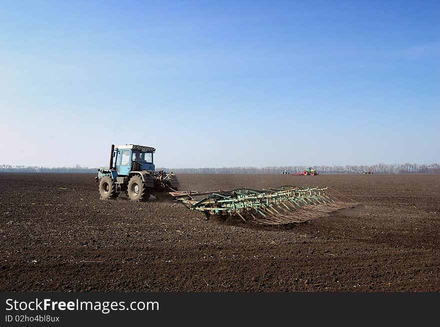 Tractor in the field sow wheat in the spring