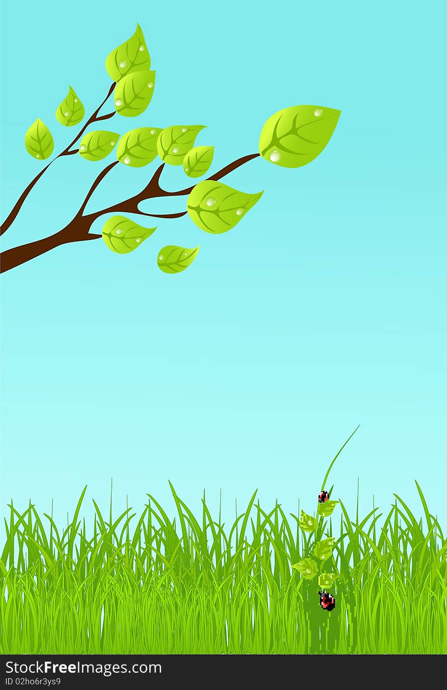 Summer background with grass. Summer background with grass.