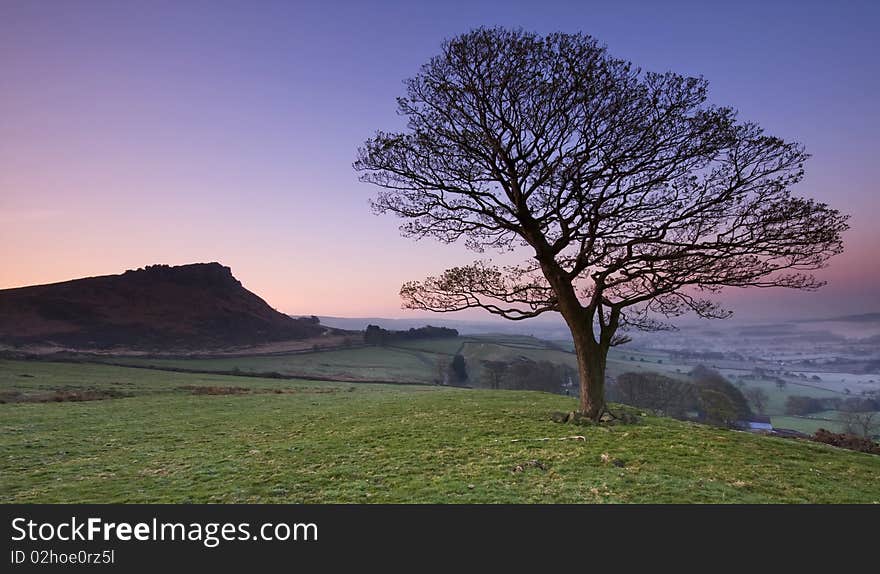 Beautiful sunlit tree at sunrise. Beautiful sunlit tree at sunrise