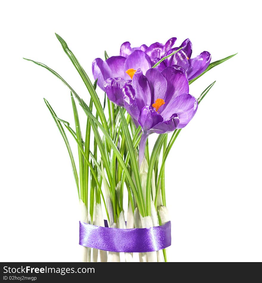 Crocus bouquet