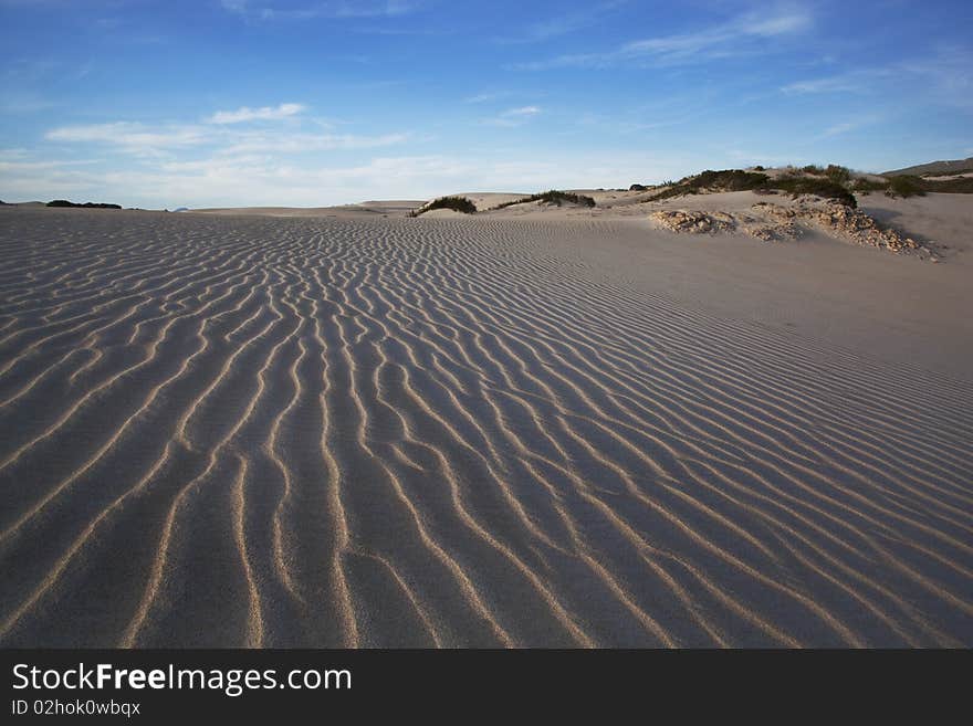 Image of Dunes on the South African coast line in the Western Cape. Image of Dunes on the South African coast line in the Western Cape