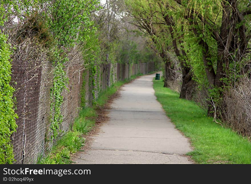 Walk way through trees in spring time