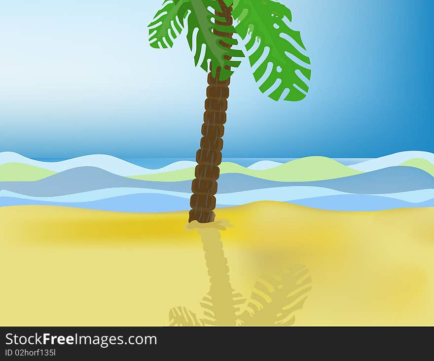 Palm tree on a beach